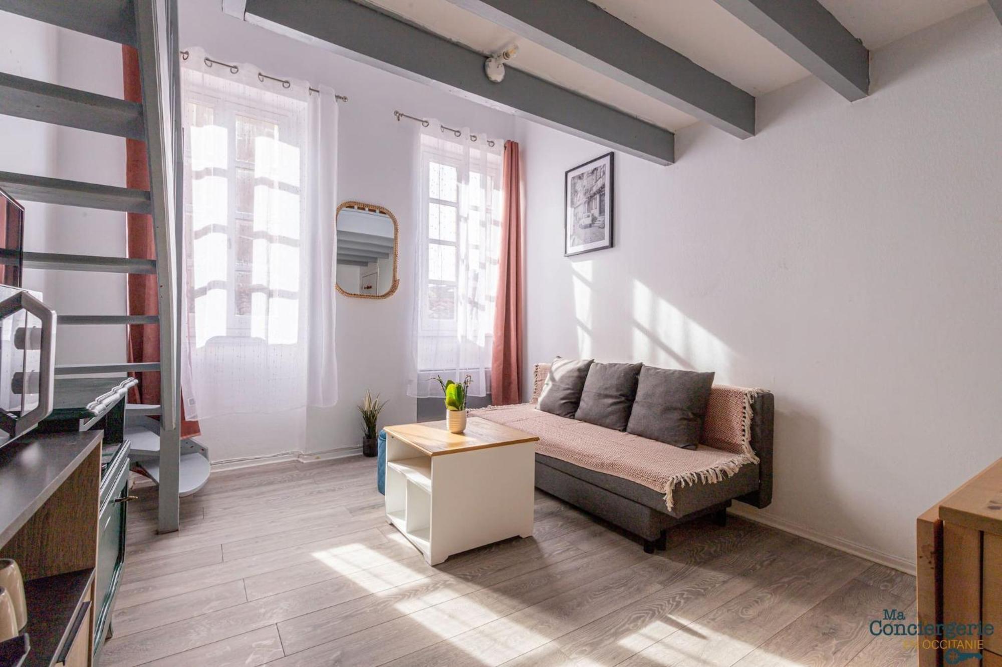 Duplex Champetre : Gare, Marche, Hypercentre Lejlighed Toulouse Eksteriør billede