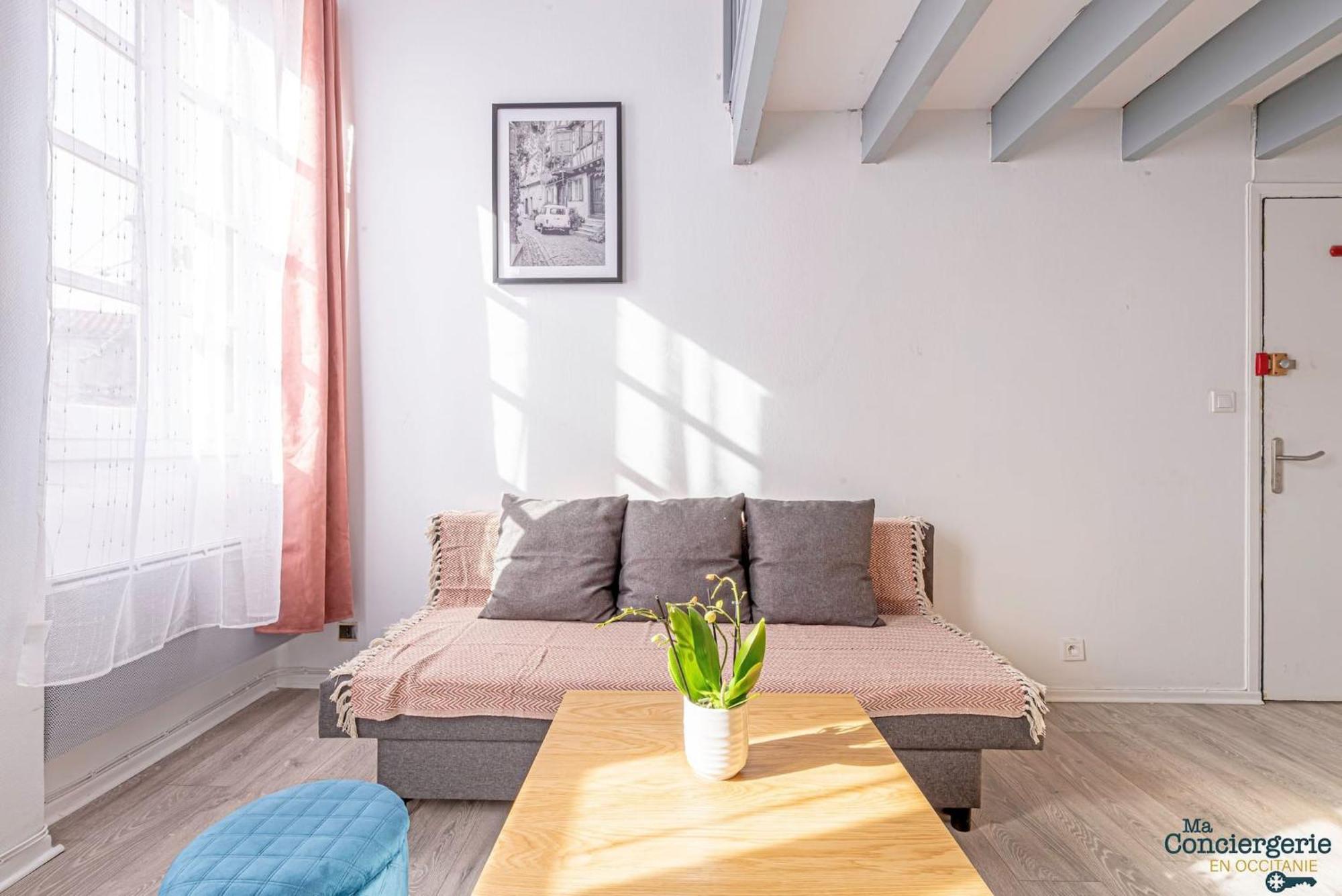 Duplex Champetre : Gare, Marche, Hypercentre Lejlighed Toulouse Eksteriør billede