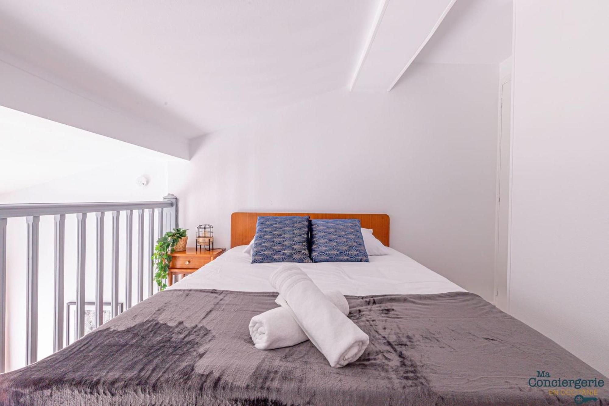 Duplex Champetre : Gare, Marche, Hypercentre Lejlighed Toulouse Eksteriør billede